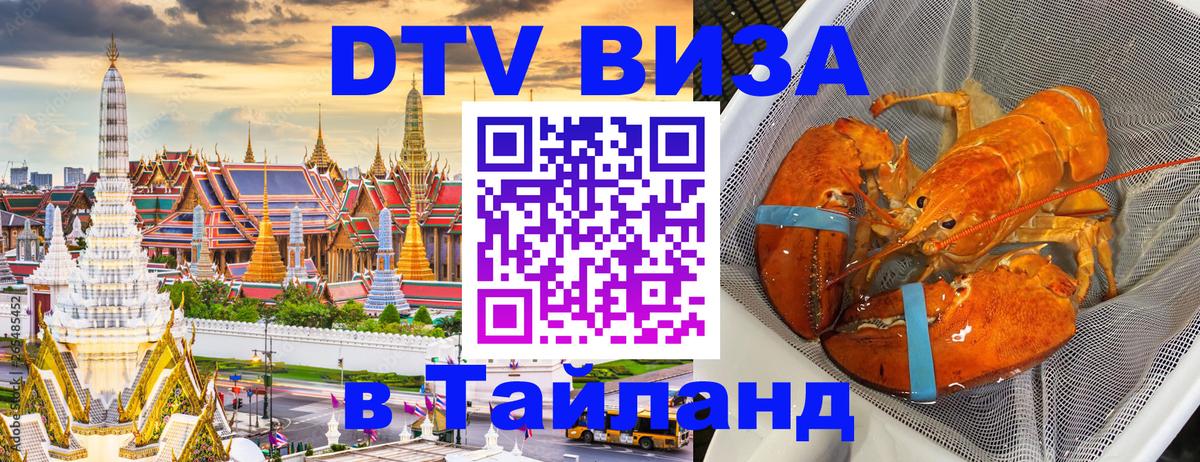 Сколько стоит DTV виза — актуальные цены, оформление даже без документов - 06.12.2025 